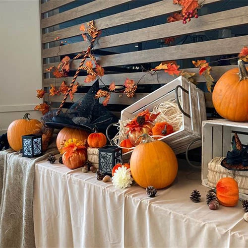 Pumpkins on a table displayed for Halloween.