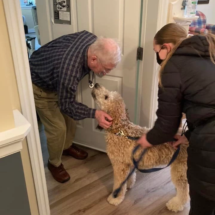A senior man playing with dog